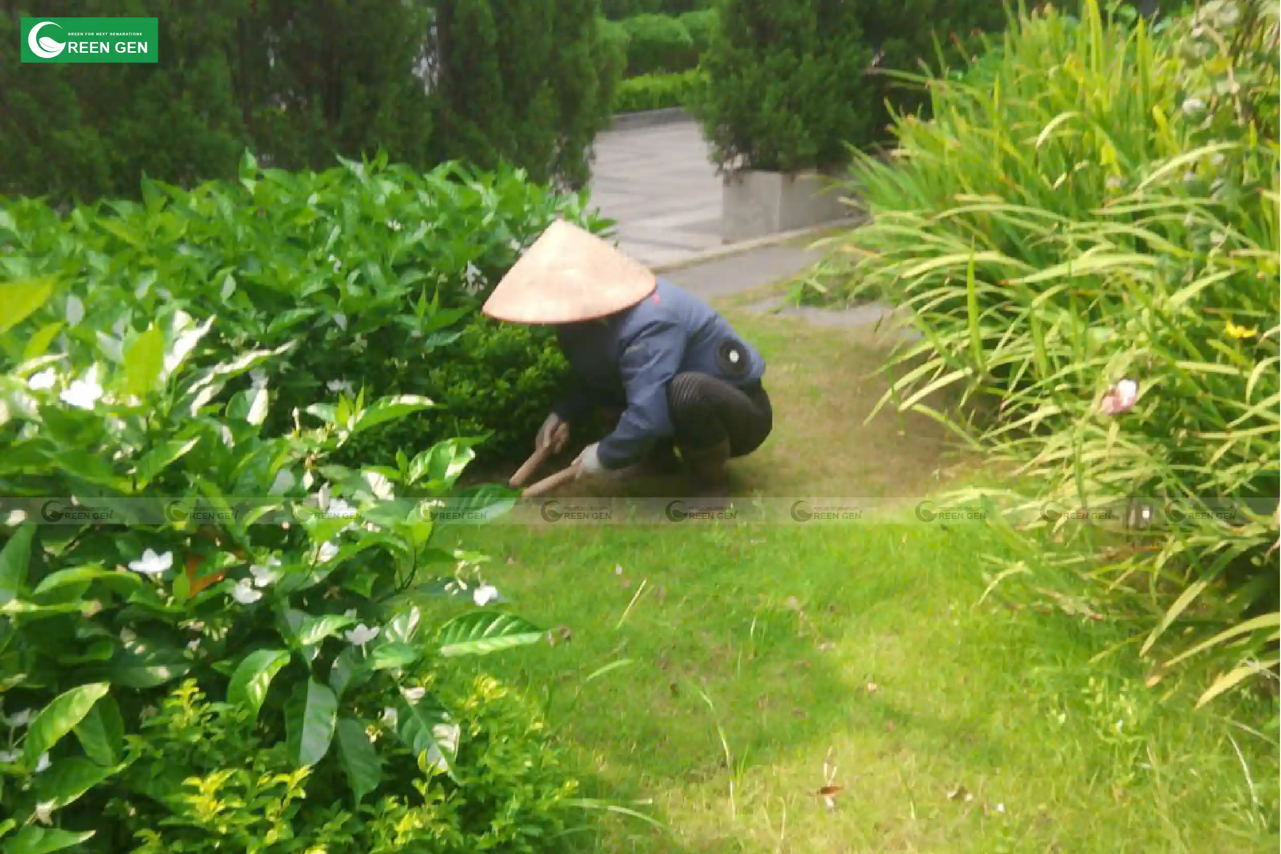 /Upload/cham-soc-canh-quan-khu-biet-thu-72-ly-thuong-kiet-03_result