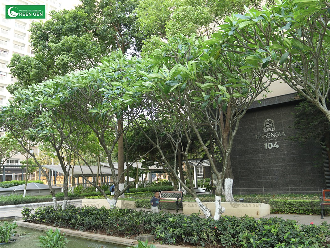 /Upload/du-an/splendora-an-khanh-2-07