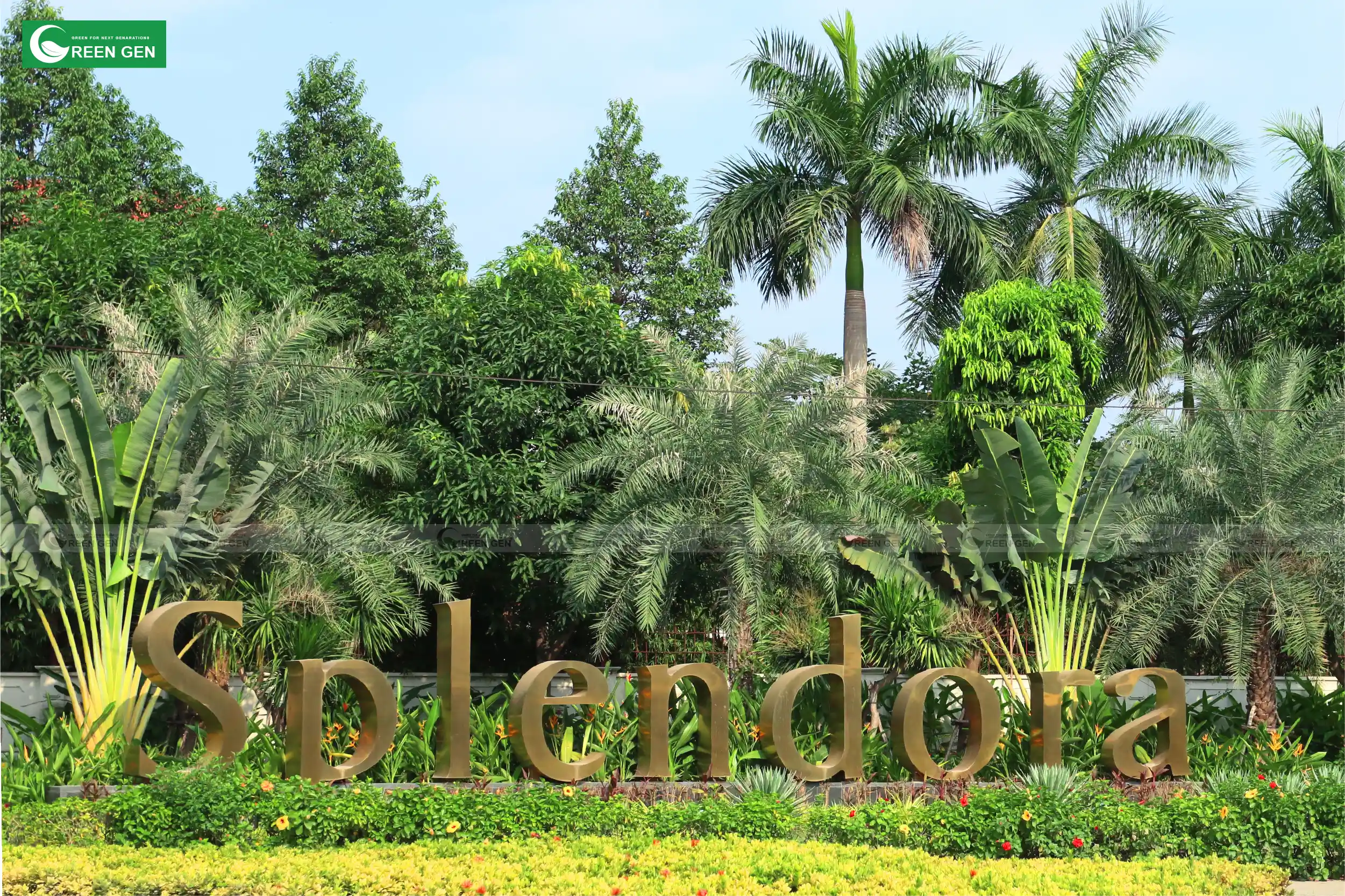 /Upload/splendora-02_result